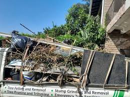 Best Hoarding Cleanup  in Coldwater, MI